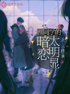 袋鼠兄弟2
