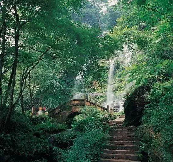 注意躲避